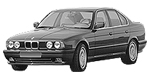 BMW E34 P1403 Fault Code